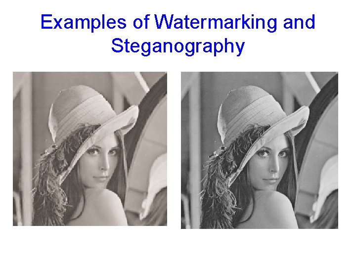 Examples of Watermarking and Steganography 