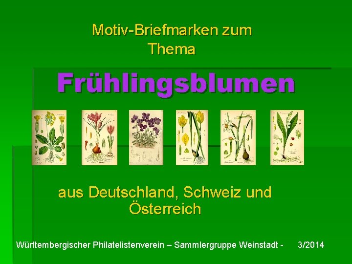 Motiv-Briefmarken zum Thema Frühlingsblumen aus Deutschland, Schweiz und Österreich Württembergischer Philatelistenverein – Sammlergruppe Weinstadt