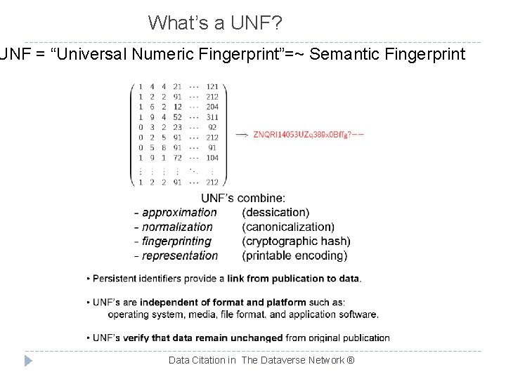 Prepared For The Board On Research Data And