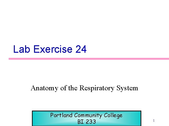 Lab Exercise 24 Anatomy of the Respiratory System Portland Community College BI 233 1