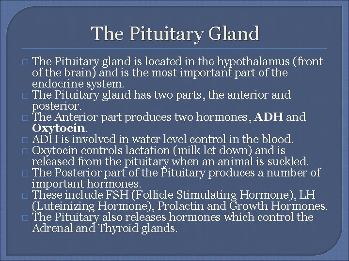 The Pituitary Gland The Pituitary gland is located in the hypothalamus (front of the