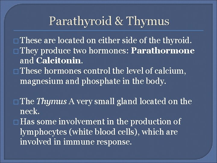 Parathyroid & Thymus � These are located on either side of the thyroid. �
