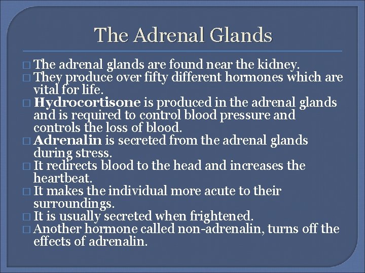 The Adrenal Glands � The adrenal glands are found near the kidney. � They