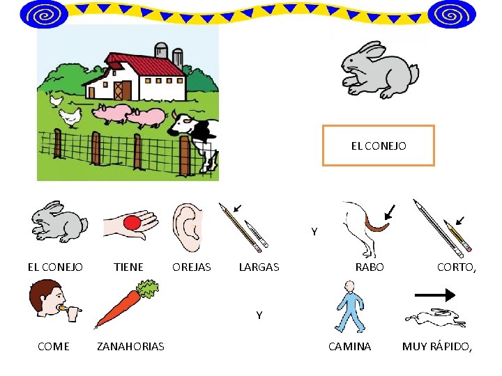 EL CONEJO Y EL CONEJO TIENE OREJAS LARGAS RABO CORTO, Y COME ZANAHORIAS CAMINA