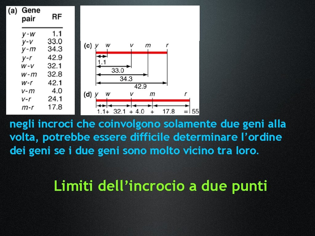 negli incroci che coinvolgono solamente due geni alla volta, potrebbe essere difficile determinare l’ordine