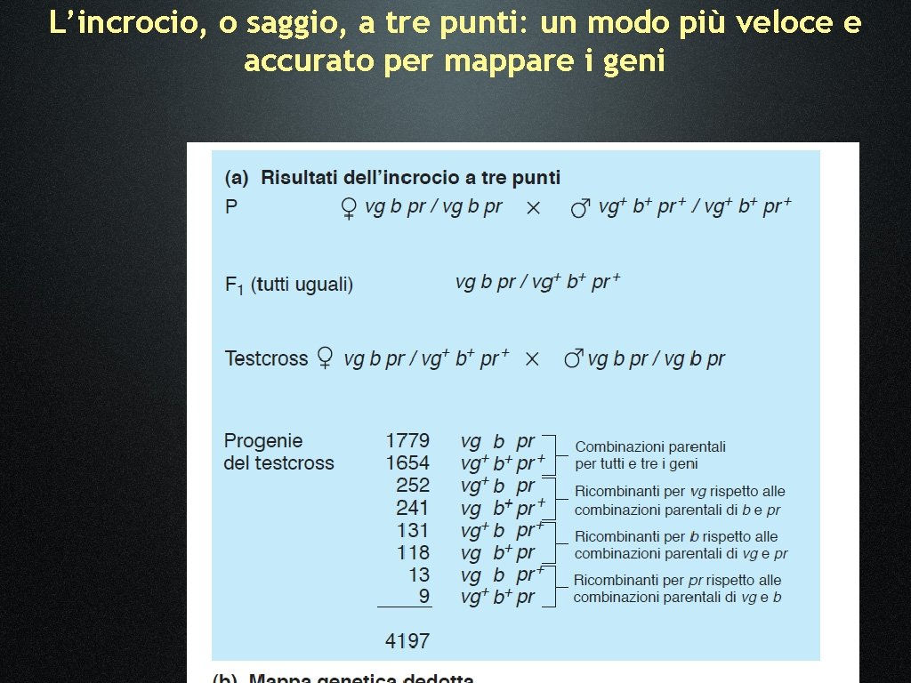 L’incrocio, o saggio, a tre punti: un modo più veloce e accurato per mappare