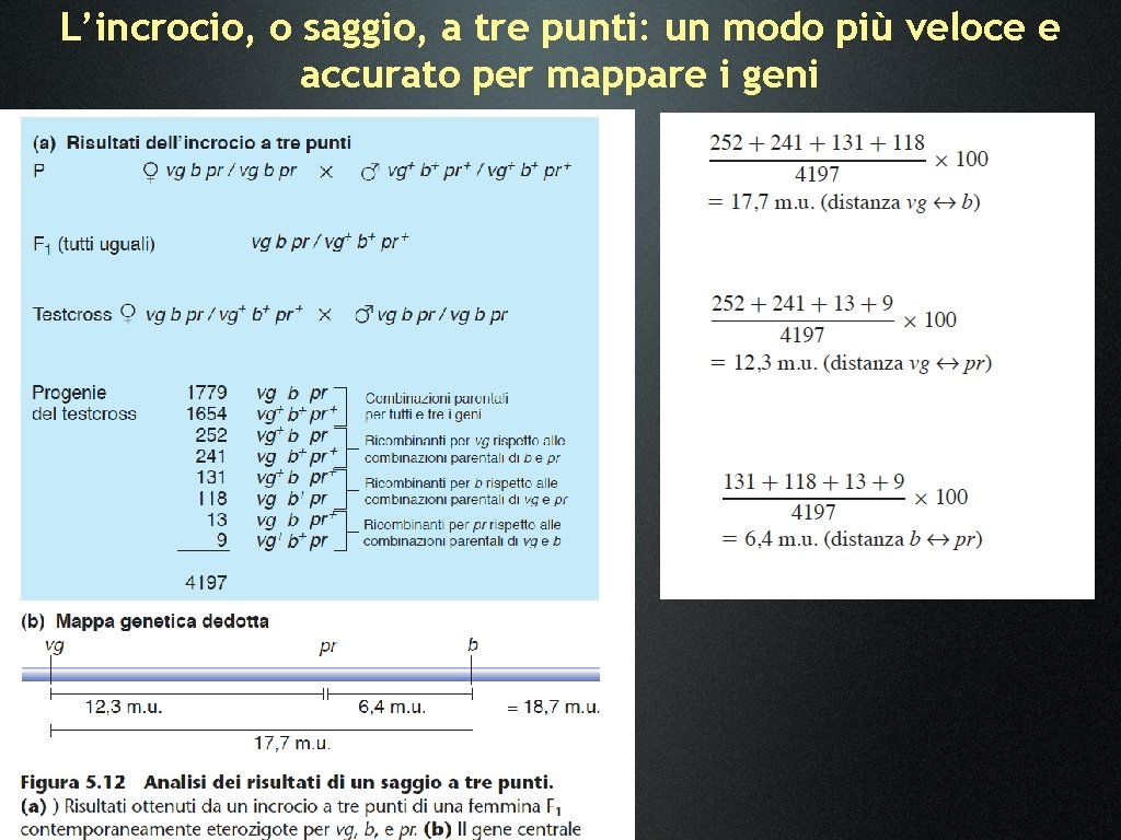 L’incrocio, o saggio, a tre punti: un modo più veloce e accurato per mappare