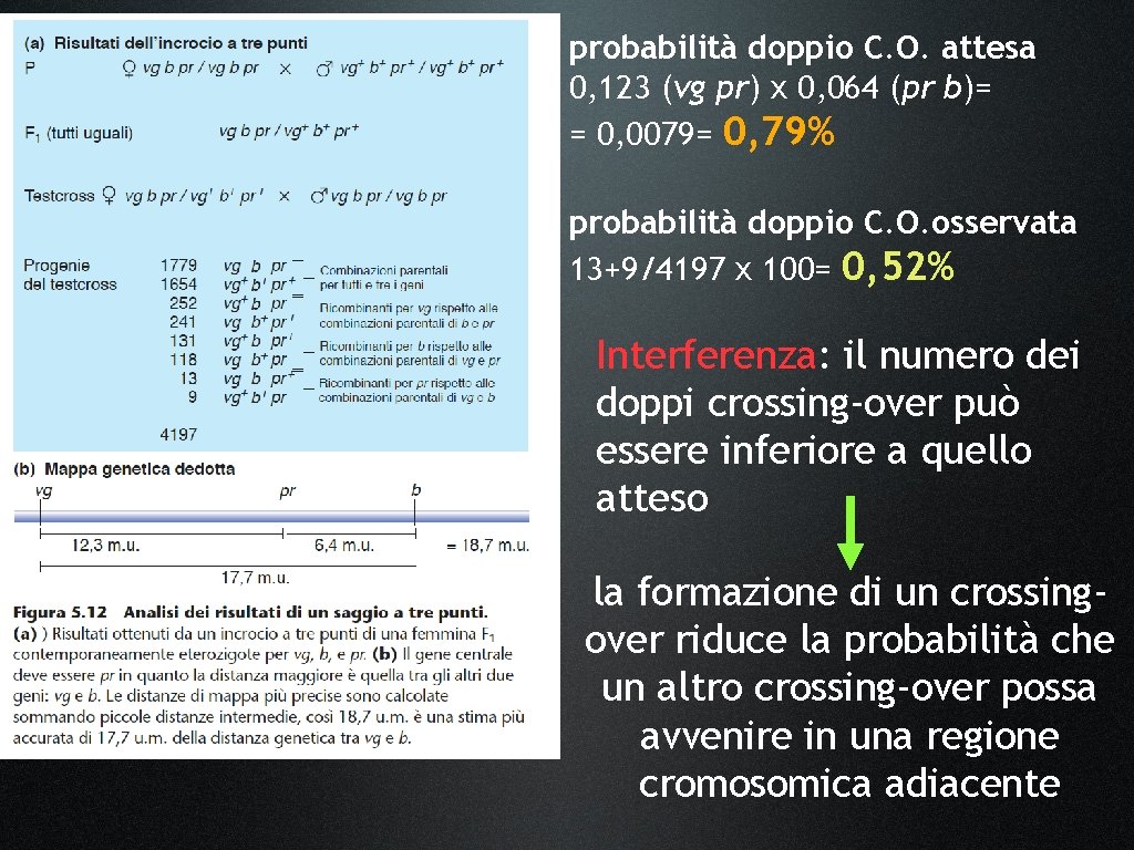 probabilità doppio C. O. attesa 0, 123 (vg pr) x 0, 064 (pr b)=