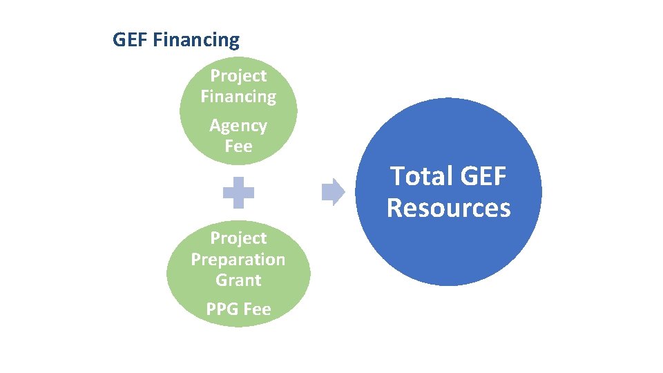 GEF Financing Project Financing Agency Fee Project Preparation Grant PPG Fee Total GEF Resources GEF Financing Project Financing Agency Fee Project Preparation Grant PPG Fee Total GEF Resources
