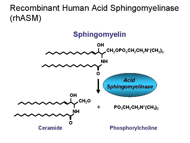 Recombinant Human Acid Sphingomyelinase (rh. ASM) Sphingomyelin OH CH 2 OPO 3 CH 2