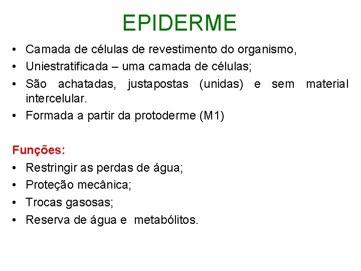  EPIDERME • Camada de células de revestimento do organismo, • Uniestratificada – uma