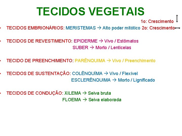 TECIDOS VEGETAIS 1 o: Crescimento • TECIDOS EMBRIONÁRIOS: MERISTEMAS Alto poder mitótico 2 o: