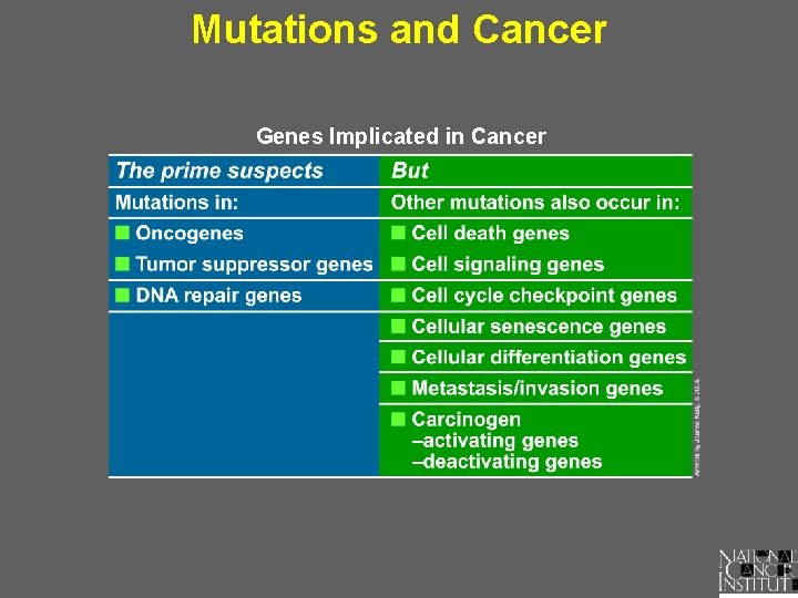Mutations and Cancer Genes Implicated in Cancer 