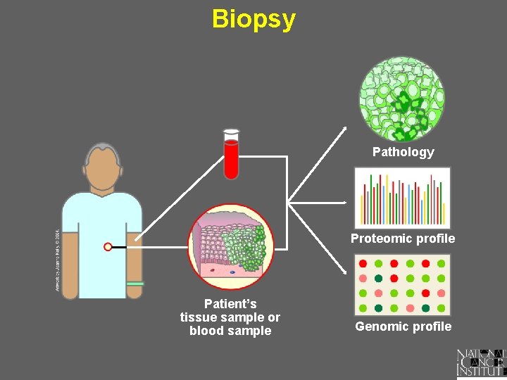 Biopsy Pathology Proteomic profile Patient’s tissue sample or blood sample Genomic profile 