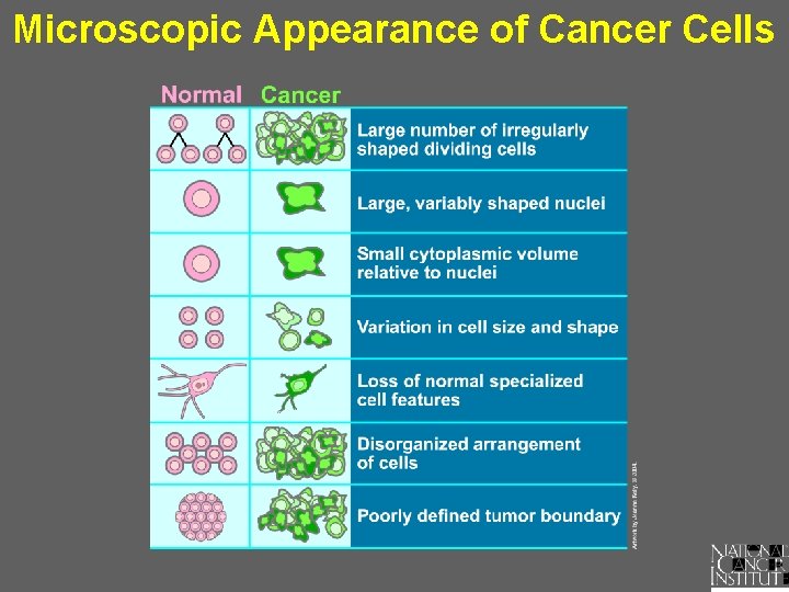 Microscopic Appearance of Cancer Cells 