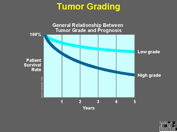 Tumor Grading 100% General Relationship Between Tumor Grade and Prognosis Low grade Patient Survival