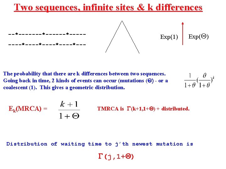 Two sequences, infinite sites & k differences --*------*----- Exp(1) Exp( ) ----*----*--- The probability