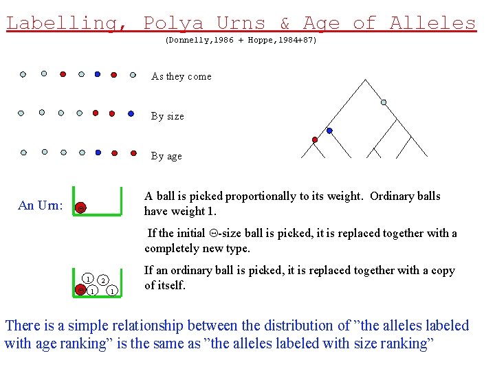 Labelling, Polya Urns & Age of Alleles (Donnelly, 1986 + Hoppe, 1984+87) As they