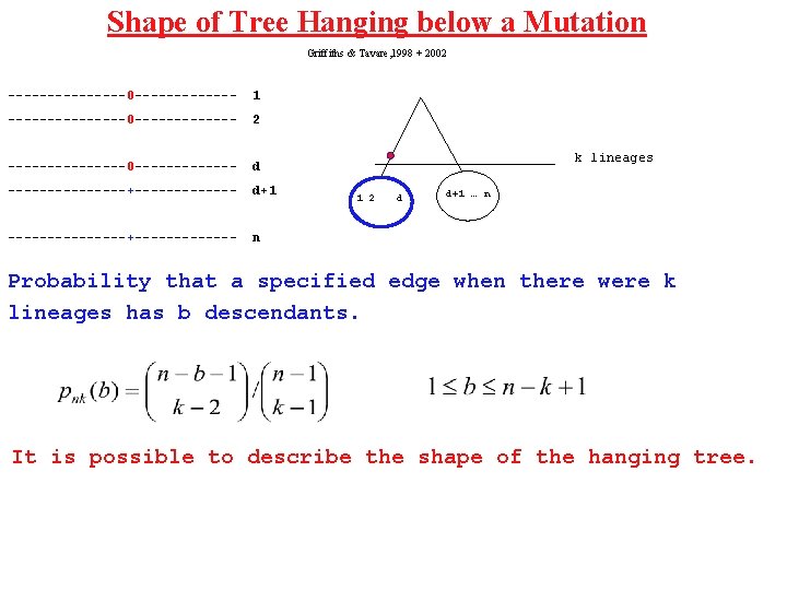 Shape of Tree Hanging below a Mutation Griffiths & Tavare, 1998 + 2002 --------0