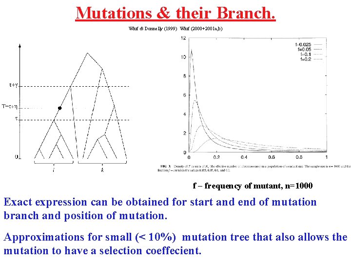 Mutations & their Branch. Wiuf & Donnelly (1999) Wiuf (2000+2001 a, b) f –