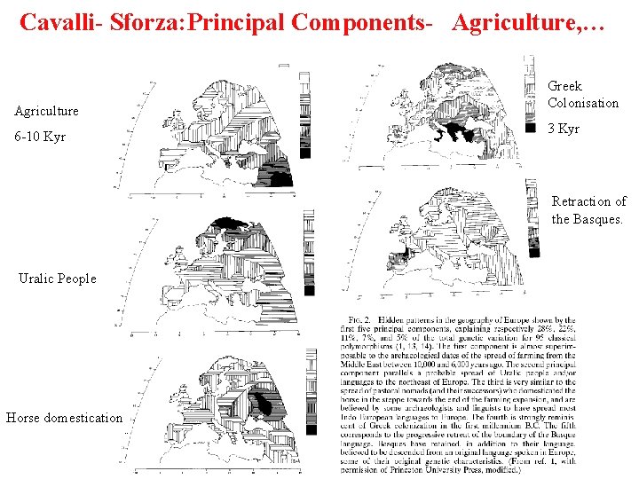 Cavalli- Sforza: Principal Components- Agriculture, … Agriculture 6 -10 Kyr Greek Colonisation 3 Kyr