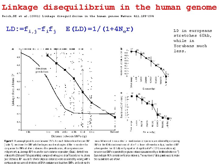 Linkage disequilibrium in the human genome Reich, DE et al. (2001) Linkage disequilibrium in