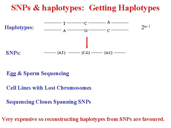 SNPs & haplotypes: Getting Haplotypes: SNPs: T C A A G C {C, G}