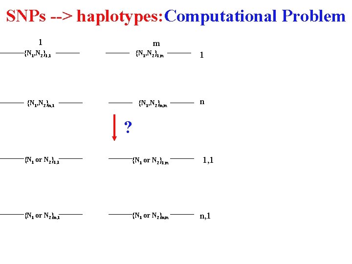 SNPs --> haplotypes: Computational Problem 1 m {N 1, N 2}1, 1 {N 1,