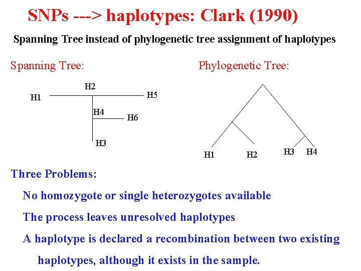 SNPs ---> haplotypes: Clark (1990) Spanning Tree instead of phylogenetic tree assignment of haplotypes