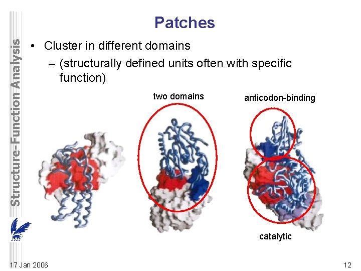 Structure-Function Analysis Patches • Cluster in different domains – (structurally defined units often with