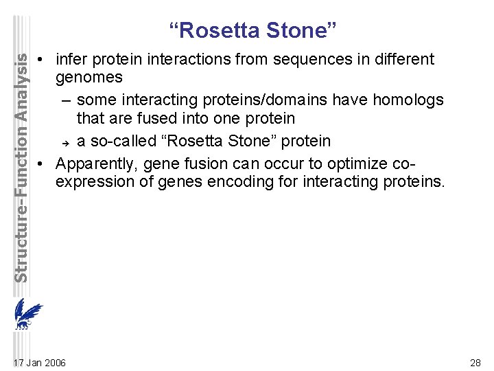 Structure-Function Analysis “Rosetta Stone” • infer protein interactions from sequences in different genomes –