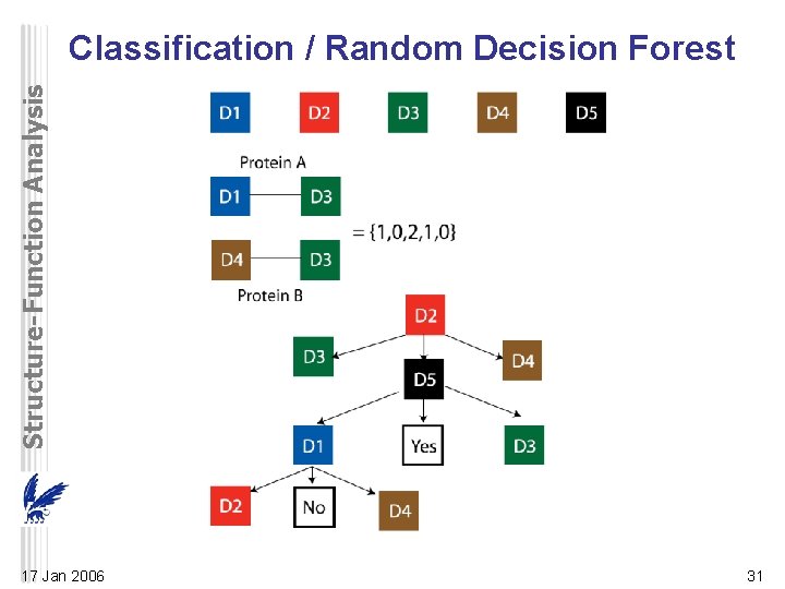 Structure-Function Analysis Classification / Random Decision Forest 17 Jan 2006 31 