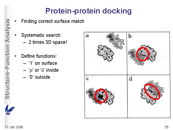 Structure-Function Analysis Protein-protein docking • Finding correct surface match • Systematic search: – 2