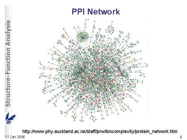 Structure-Function Analysis PPI Network http: //www. phy. auckland. ac. nz/staff/prw/biocomplexity/protein_network. htm 17 Jan 2006