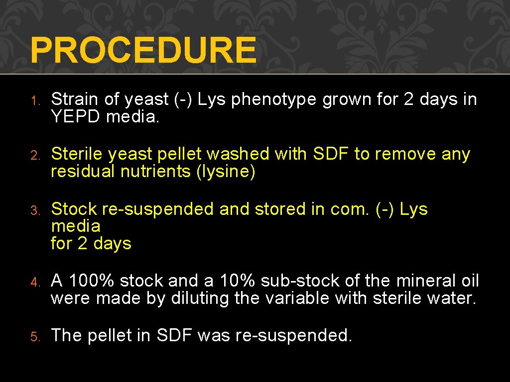 PROCEDURE 1. Strain of yeast (-) Lys phenotype grown for 2 days in YEPD