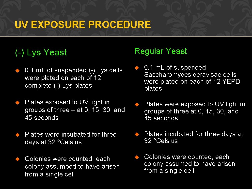 UV EXPOSURE PROCEDURE (-) Lys Yeast Regular Yeast u 0. 1 m. L of