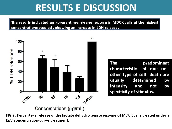 RESULTS E DISCUSSION The results indicated an apparent membrane rupture in MDCK cells at