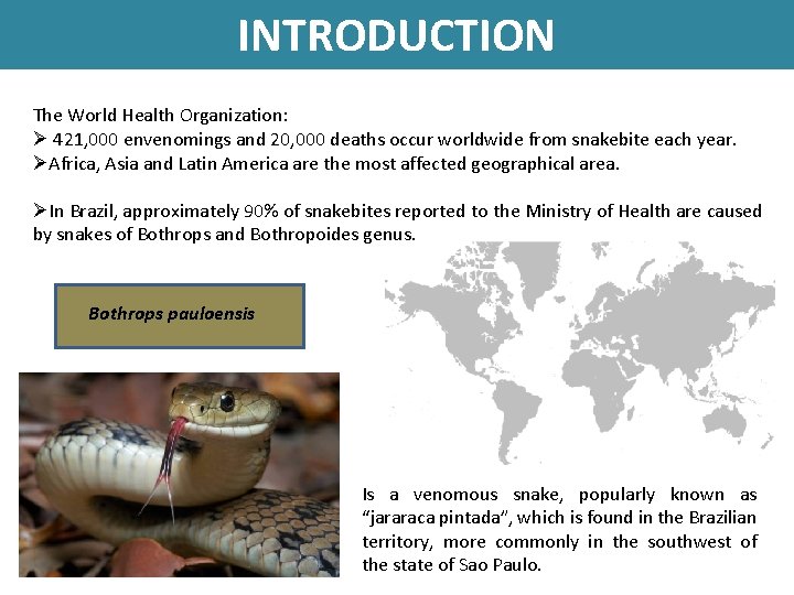 INTRODUCTION The World Health Organization: Ø 421, 000 envenomings and 20, 000 deaths occur