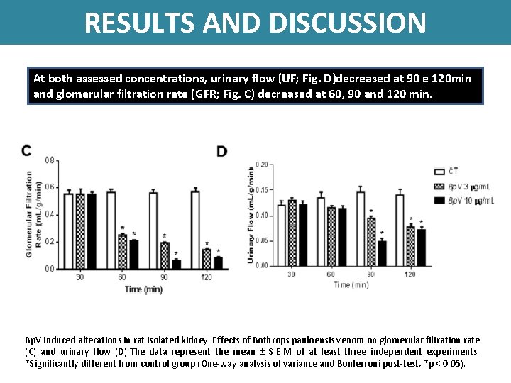 RESULTS AND DISCUSSION At both assessed concentrations, urinary flow (UF; Fig. D)decreased at 90