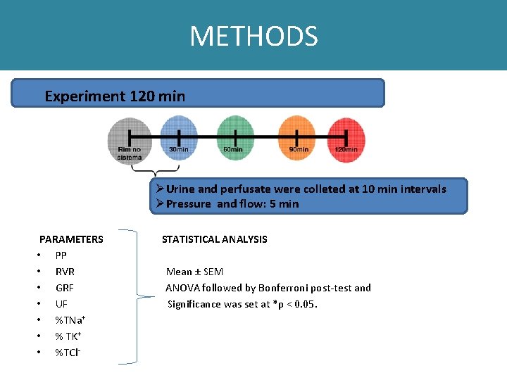 METHODS Experiment 120 min ØUrine and perfusate were colleted at 10 min intervals ØPressure