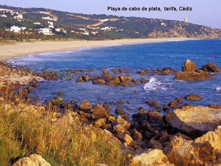 Playa de de caboconcha, de plata, entarifa, Cádiz Playa islote lobos, Parapentistas Playalade guadamía,