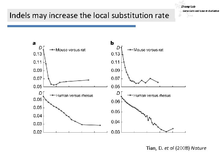Indels may increase the local substitution rate Tian, D. et al (2008) Nature 