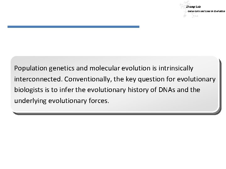 Population genetics and molecular evolution is intrinsically interconnected. Conventionally, the key question for evolutionary