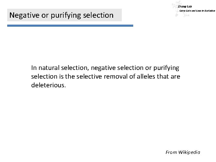 Negative or purifying selection In natural selection, negative selection or purifying selection is the