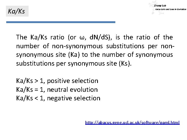 Ka/Ks The Ka/Ks ratio (or ω, d. N/d. S), is the ratio of the