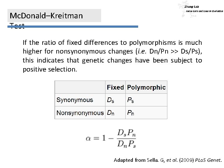 Mc. Donald–Kreitman Test If the ratio of fixed differences to polymorphisms is much higher