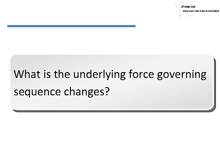 What is the underlying force governing sequence changes? 