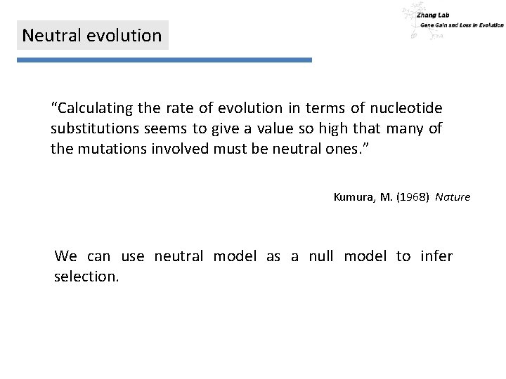 Neutral evolution “Calculating the rate of evolution in terms of nucleotide substitutions seems to