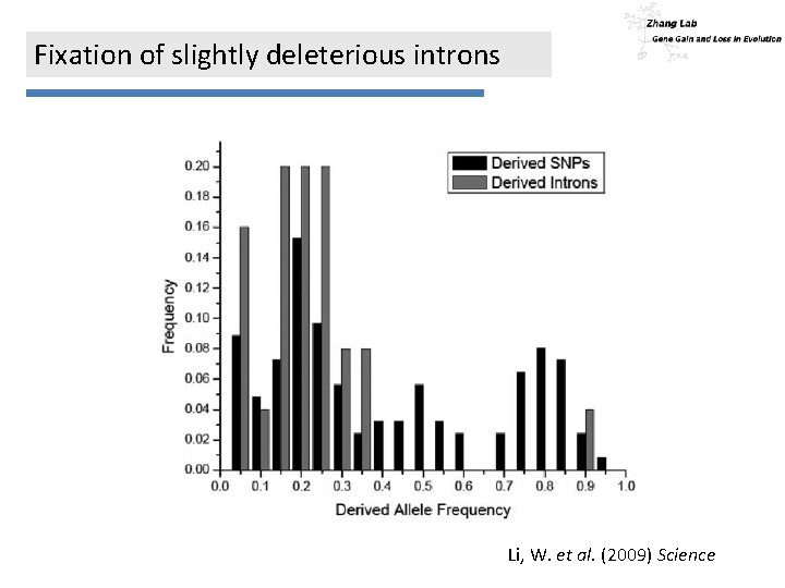 Fixation of slightly deleterious introns Li, W. et al. (2009) Science 