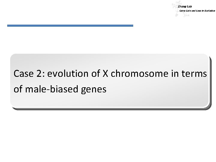 Case 2: evolution of X chromosome in terms of male-biased genes 